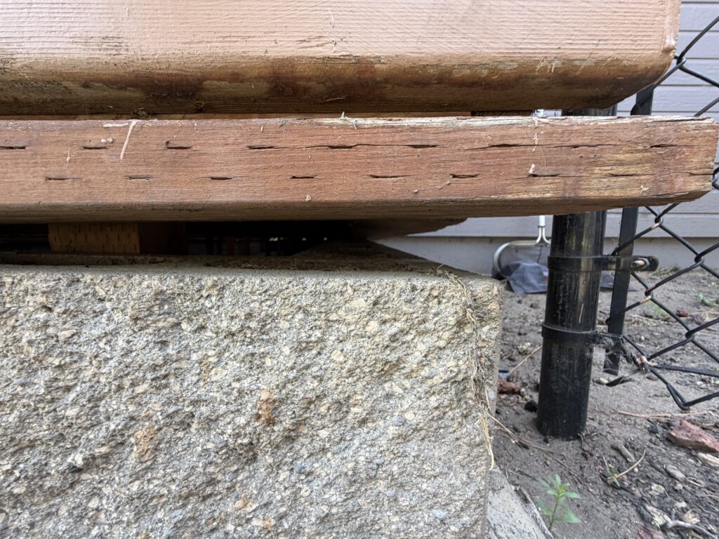 Original deck ledger resting on a new precast support pier after repair