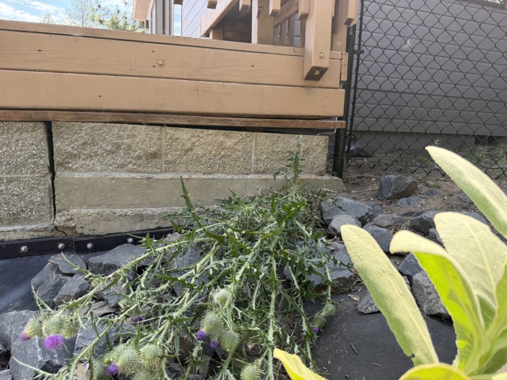 Deck framing resting directly on an existing cinder block foundation wall with very limited support before repair